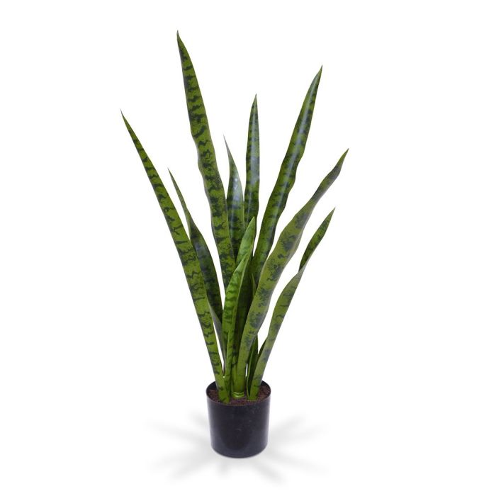 Kunstplant Sanseveria (78cm)
