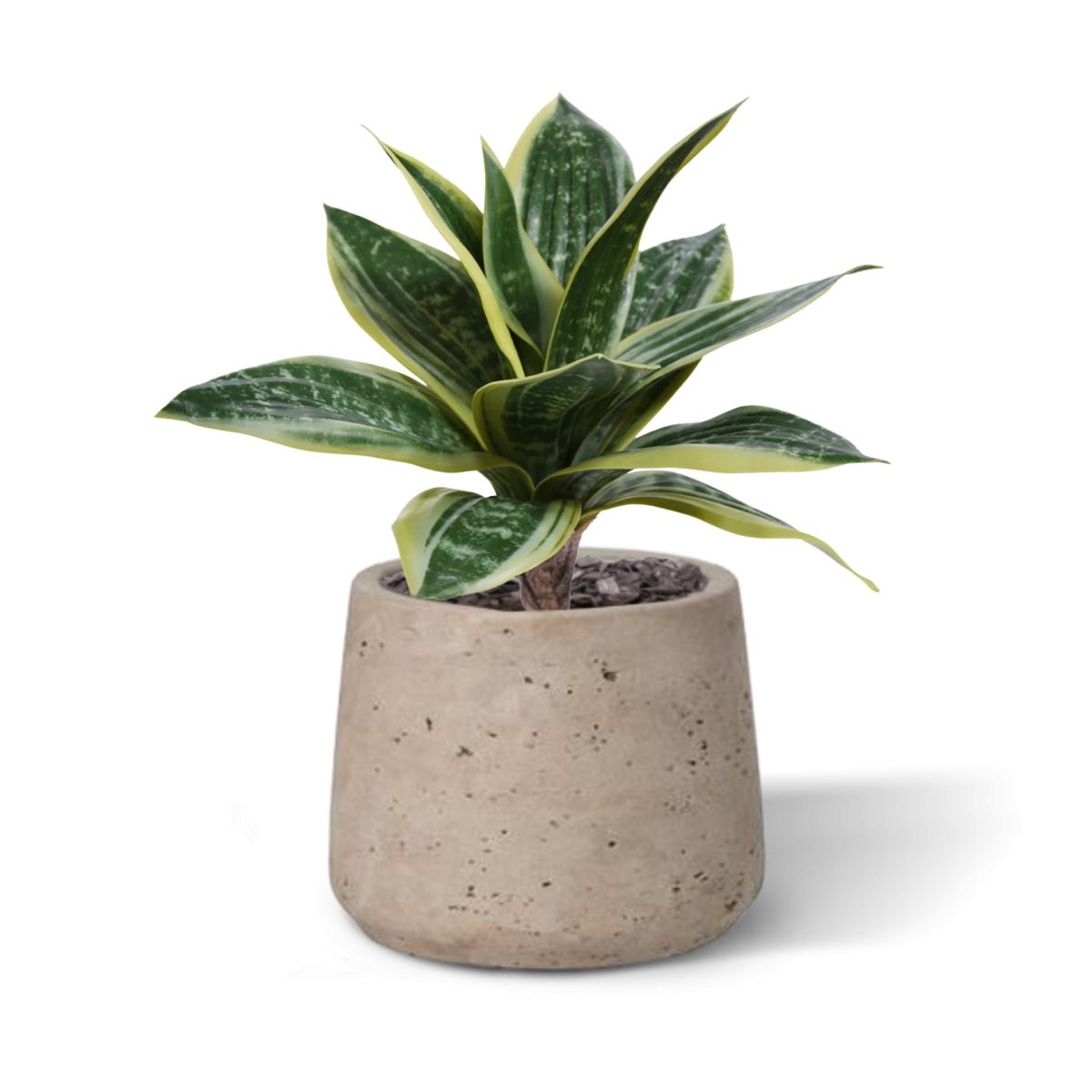 Planta artificial Sanseveria (25 cm)