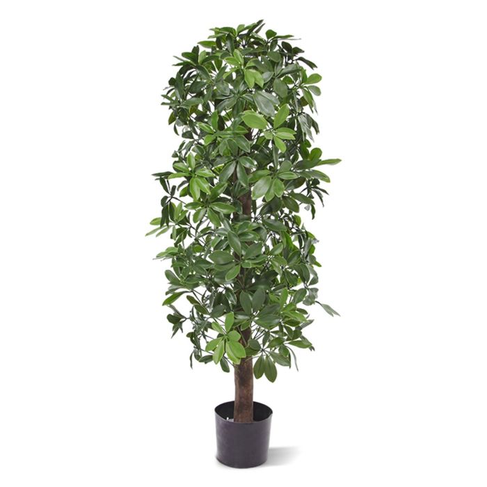 Kunstplant Schefflera zuilboom (120 cm) UV