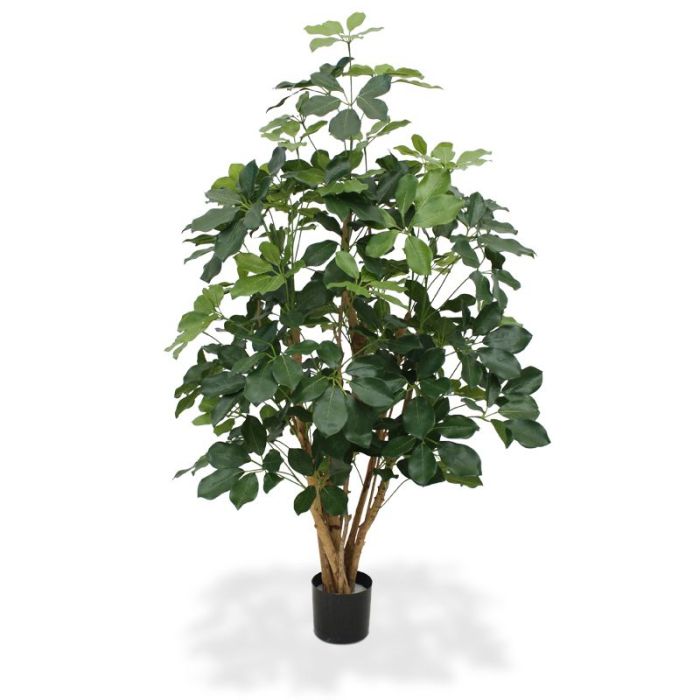 Arbre artificiel Schefflera exotique (120 cm)