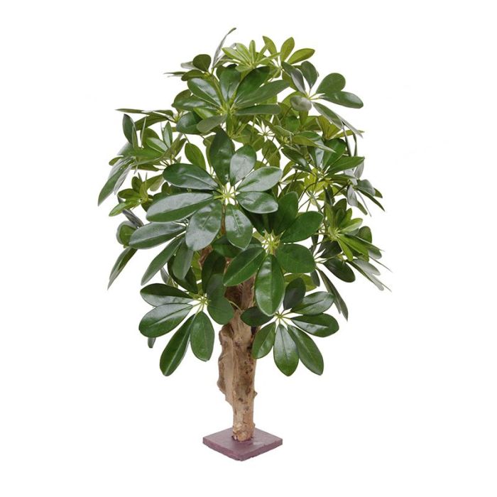 Umetna rastlina Schefflera (65 cm)