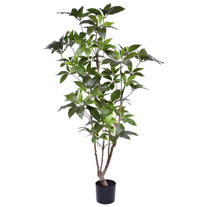 Umelá rastlina Schefflera (150 cm)