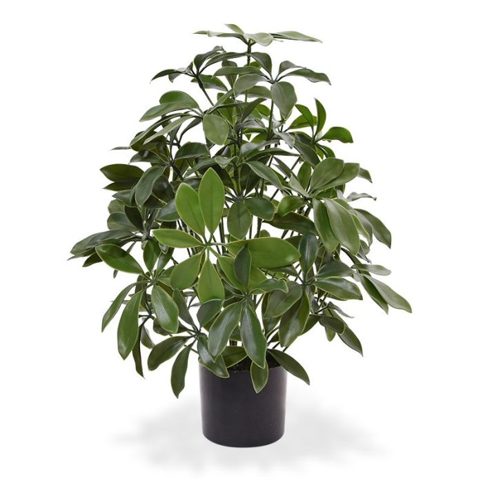 Plante artificielle Schefflera (50 cm) UV
