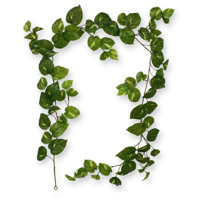 Umetna rastlina Garland Scindapsus (180 cm)