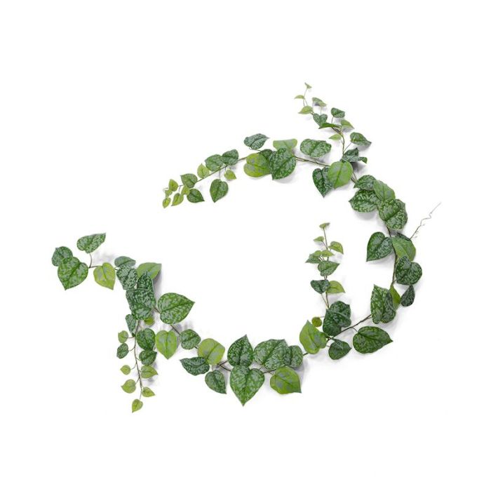 Kunstplant Scindapsus Pictus slinger (180 cm)