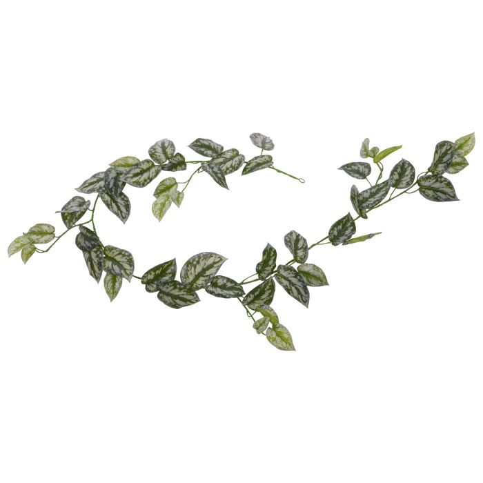 Kunstplant Scindapsus Pictus Slinger (180 cm)