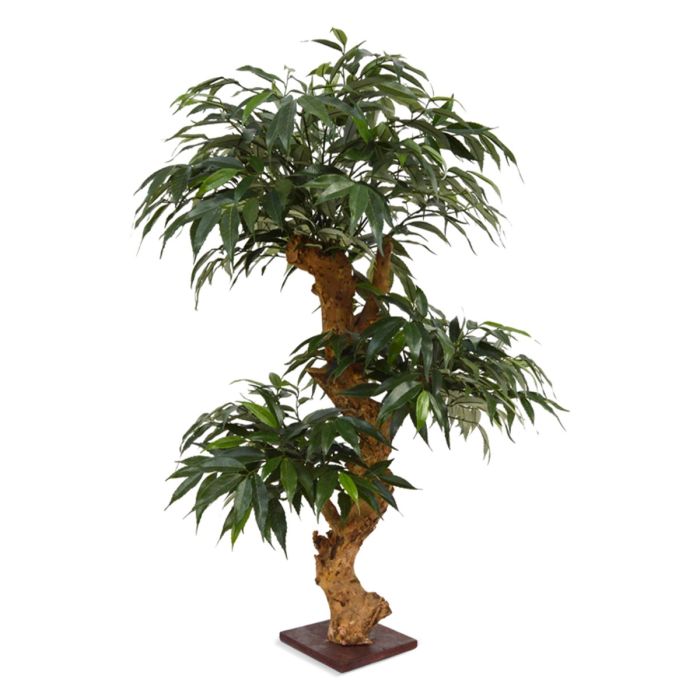 Pianta artificiale Bonsai Shirakashi (80cm)