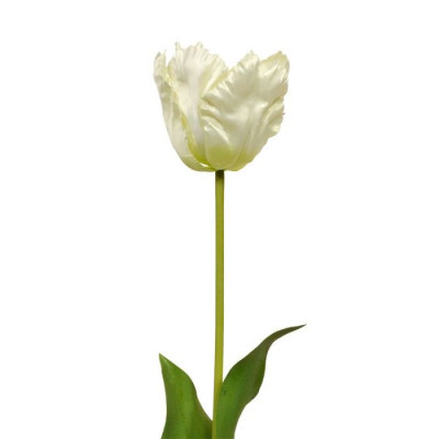 Tulipa de seda van Gogh artificial 70 cm creme