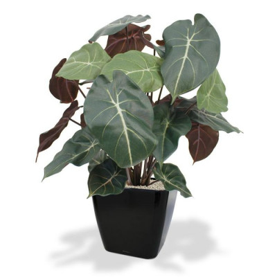 Planta Syngonium artificial 60 cm 