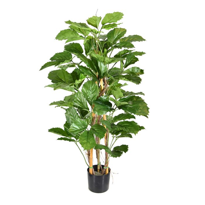 Planta artificial Tetrastigma (120 cm)