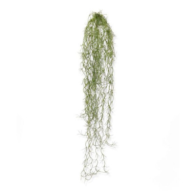 Planta rasteira Tillandsia artificial 75 cm 
