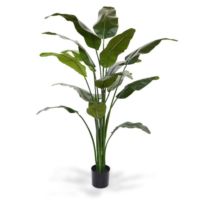 Pianta artificiale Palma del viaggiatore (165 cm)