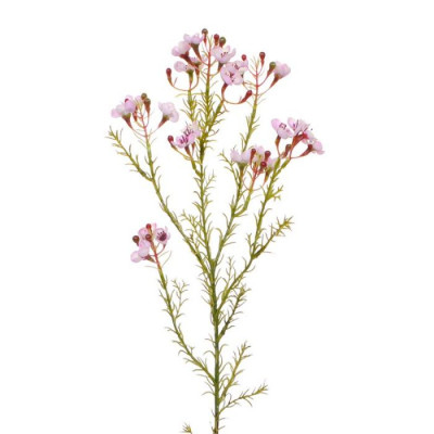 Ramo de flor de cera artificial 65 cm rosa 