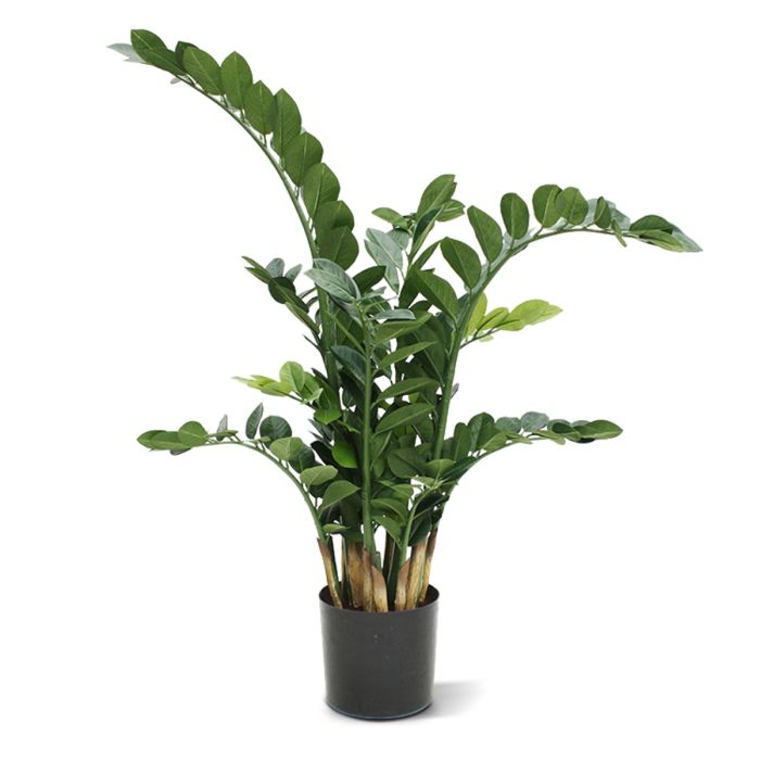 Planta artificial Zamioculcas (100 cm)