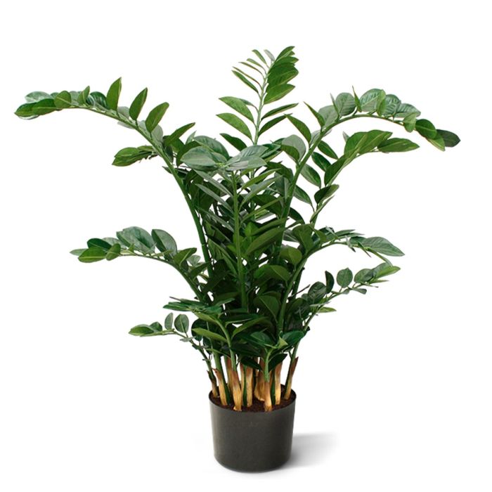 Kunstboom Zamioculcas XL (120 cm)