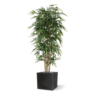 Bambus (200 cm)