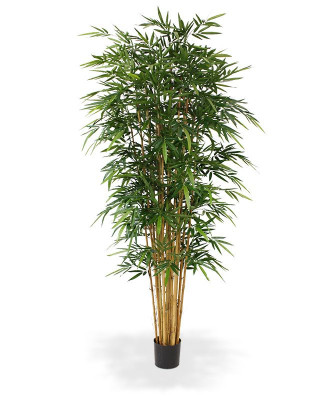 Mākslīgais bambusa koks Deluxe 240 cm