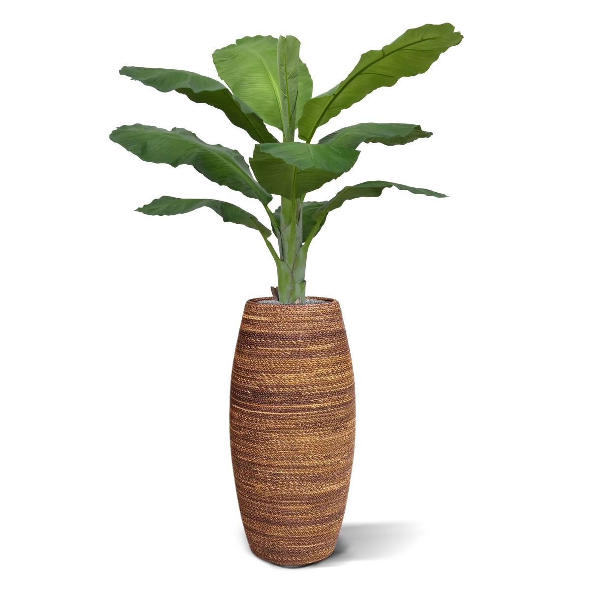Artificial Banana tree Royal (165 cm)