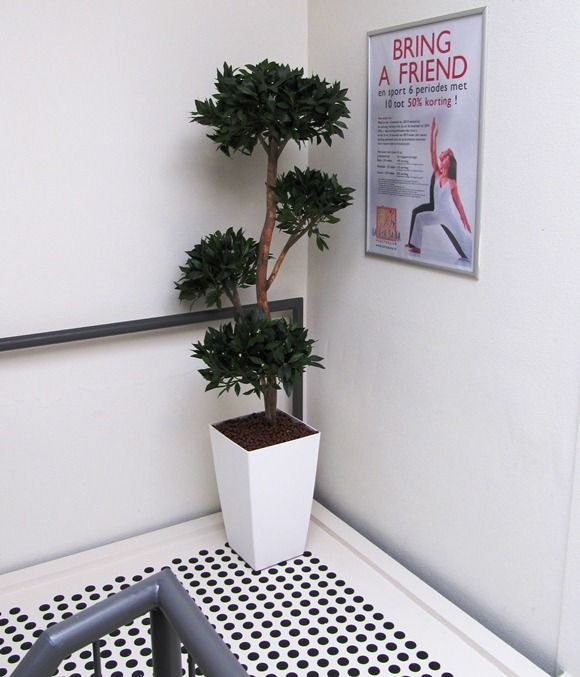 Umjetno stablo lovor (180 cm)