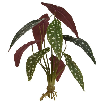 Mākslīgās Maculata begonijas lapas (35 cm)