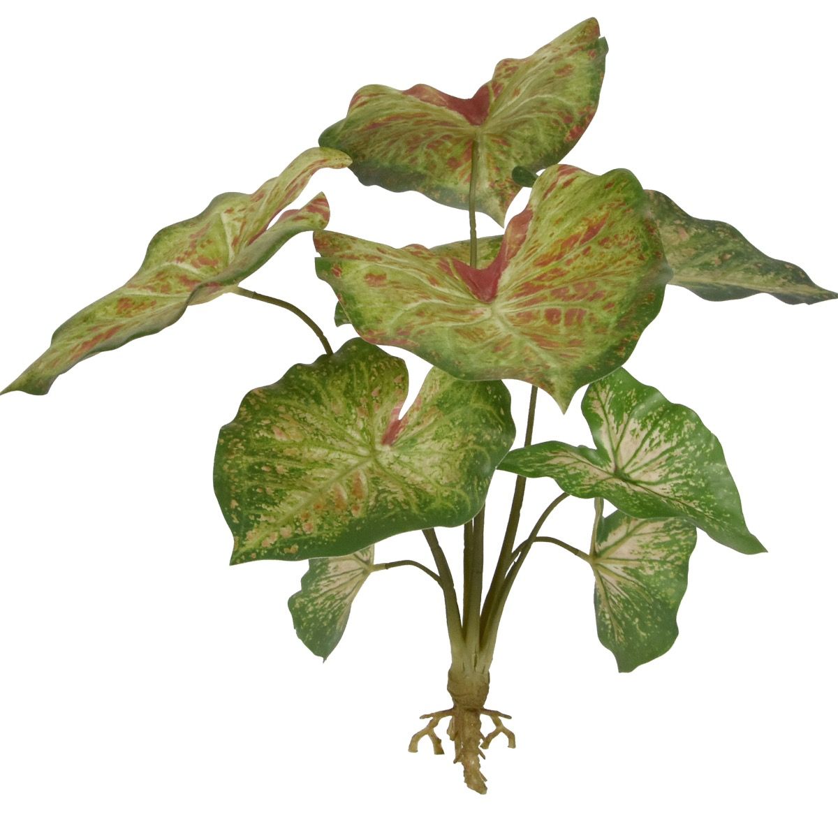 Umelá rastlina Caladium malinová kytica (40 cm)
