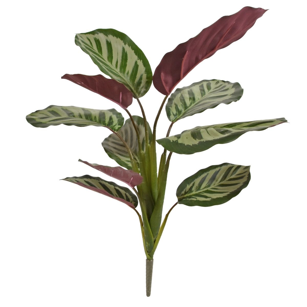 Umelá rastlina Krík Calathea Roseopicta (45 cm)