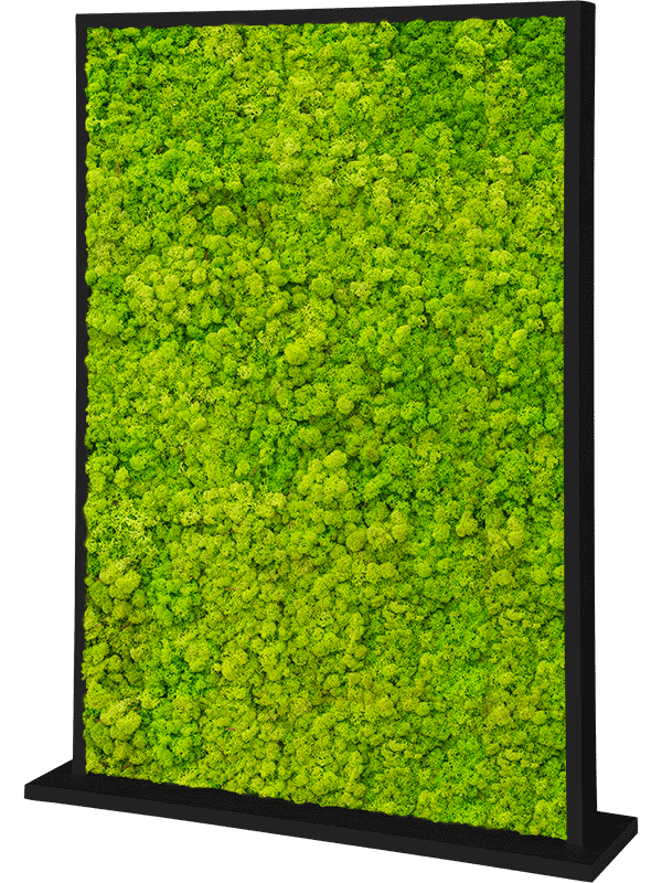 MDF Ral 9005 Satingloss Two-sided Reindeer moss(Spring green) (↔120 cm ↕30 cm)