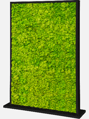MDF Ral 9005 Satingloss Two-sided Reindeer moss(Spring green)