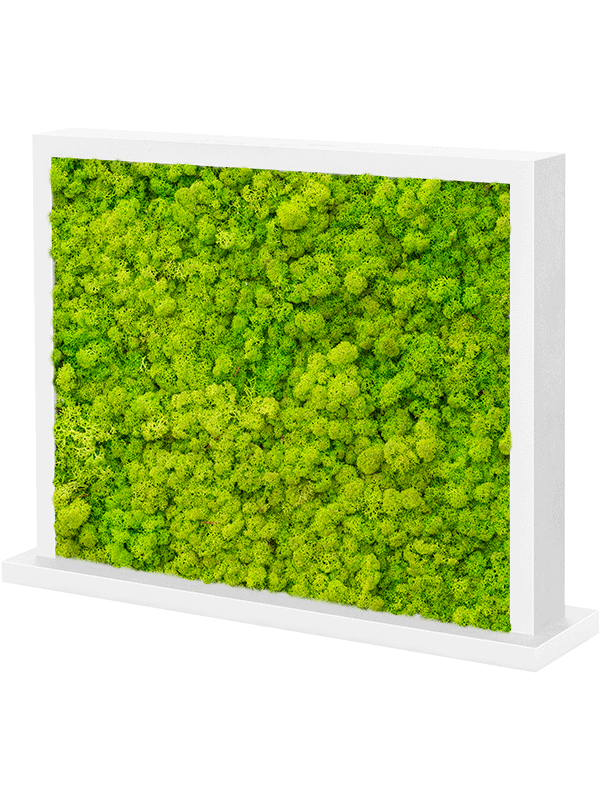 MDF Ral 9010 Satingloss Two-sided Reindeer moss(Spring green) (↔70 cm ↕30 cm)