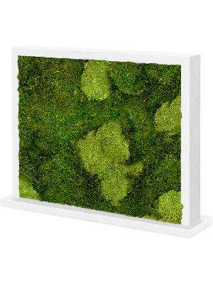 MDF Ral 9010 Satingloss Two-sided 30% Ball moss (natural) and 70% flat moss