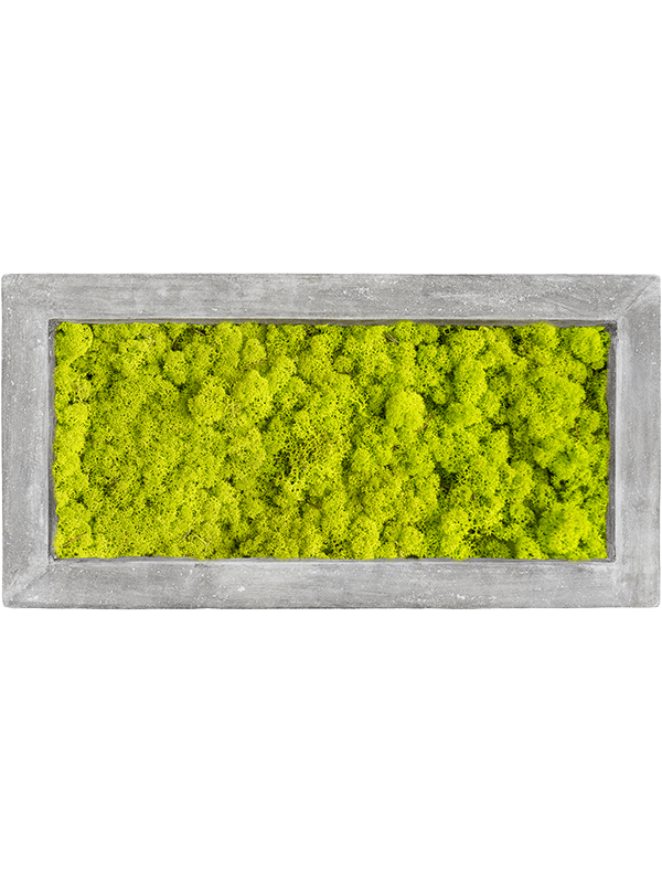 Polystone Raw Grey 100% Reindeer moss (Spring green) (↔100 cm ↕50 cm)