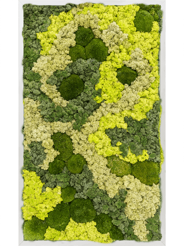 Aluminum 30% Ball moss 70% Reindeer moss (Mix) (↔100 cm ↕60 cm)