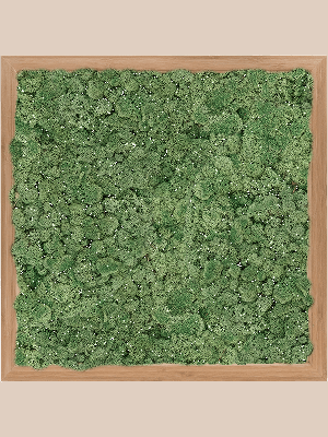 Bamboo 100% Reindeer Moss (Moss green) (↔40 cm ↕40 cm)