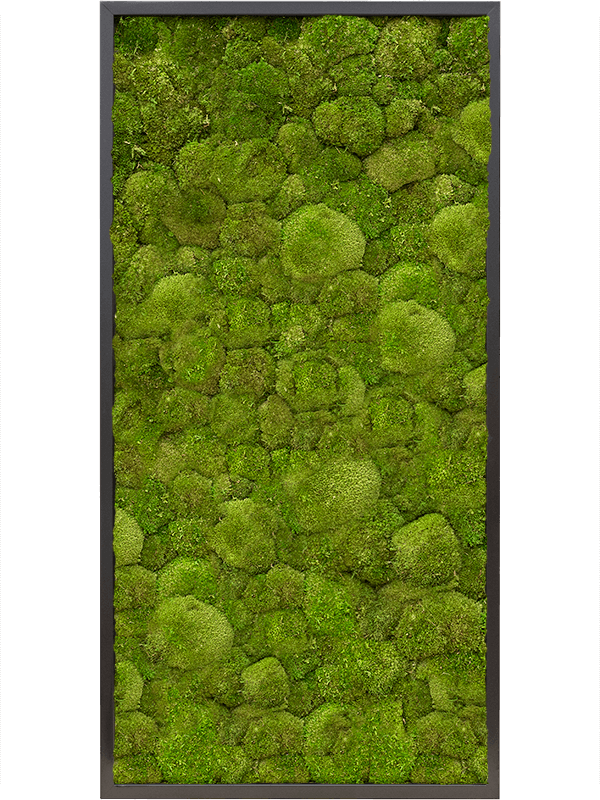 MDF RAL 9005 Satin Gloss 100% Ball moss (↔120 cm ↕60 cm)