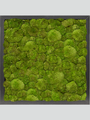 MDF RAL 9005 Satin Gloss 100% Ball moss (↔40 cm ↕40 cm)
