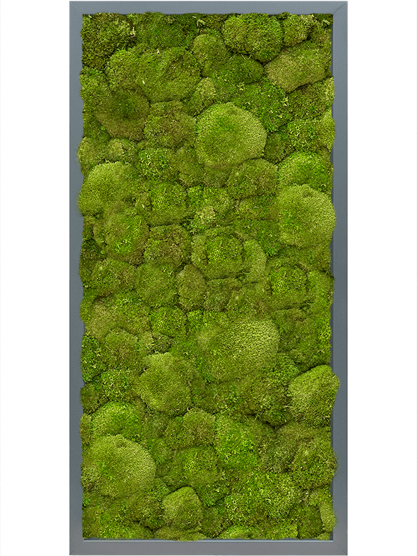 MDF RAL 7016 Satin Gloss 100% Ball Moss (↔80 cm ↕40 cm)