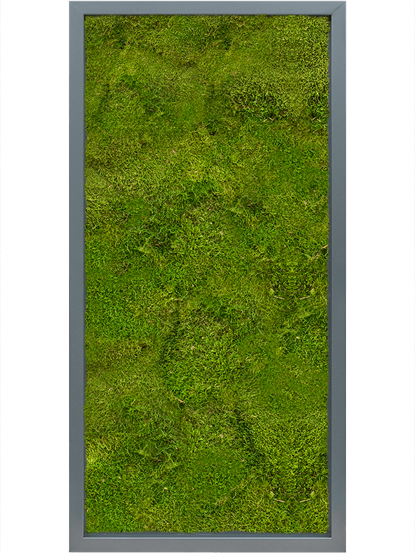 MDF RAL 7016 Satin Gloss 100% Flat Moss (↔80 cm ↕40 cm)