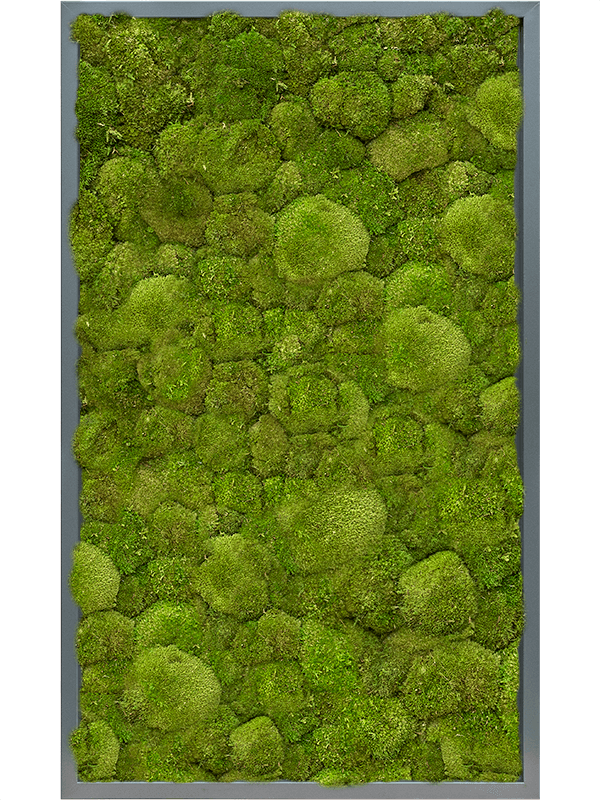 MDF RAL 7016 Satin Gloss 100% Ball Moss (↔100 cm ↕60 cm)