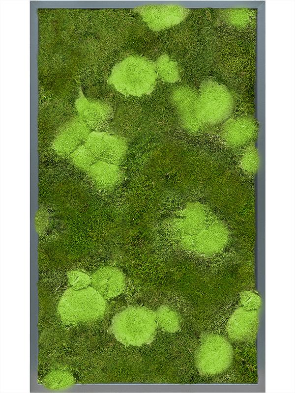30% Ball- And 70% Flat Moss  (↔60 ↕100)