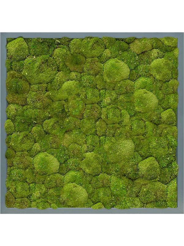 MDF RAL 7016 Satin Gloss 100% Ball Moss (↔60 cm ↕60 cm)