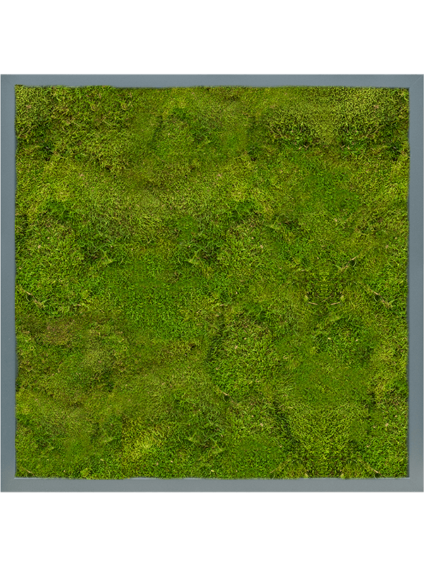 MDF RAL 7016 Satin Gloss 100% Flat Moss (↔60 cm ↕60 cm)