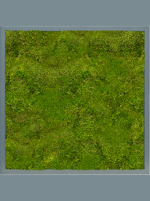 MDF RAL 7016 Satin Gloss 100% Flat Moss (↔60 cm ↕60 cm)