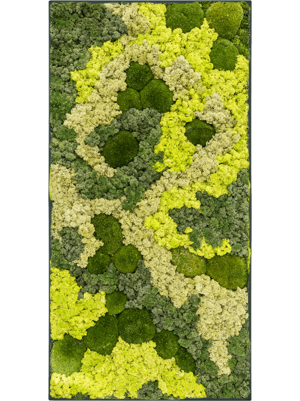 Stiel L RAL 7016 Matt 30% Ball moss 70% Reindeer moss (Mix) (↔100 cm ↕50 cm)