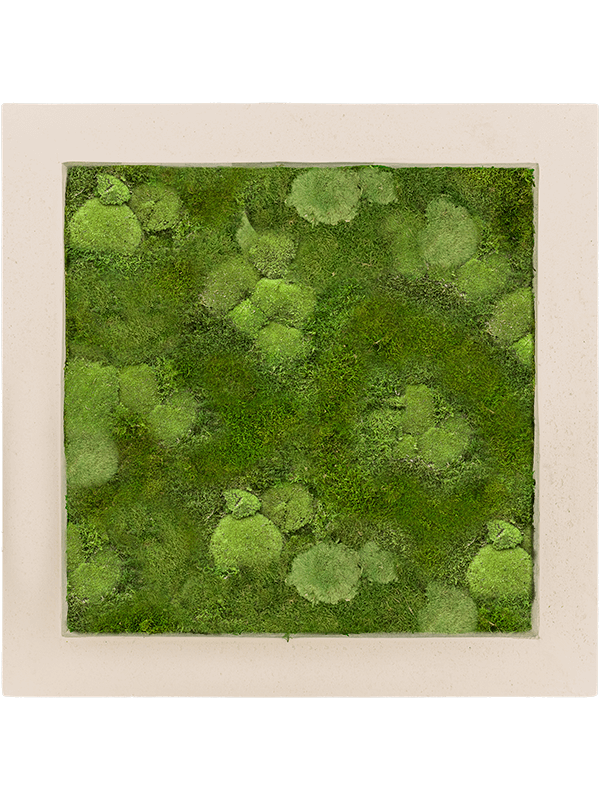 Polystone Natural 30% Ball- and 70% Flat moss (↔50 cm ↕50 cm)