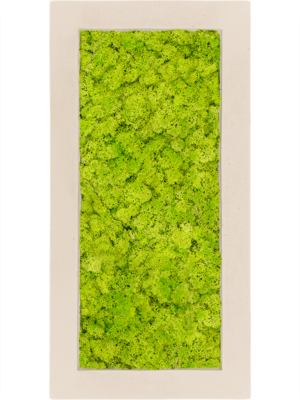 Polystone Natural 100% Reindeer moss (Spring green) (↔100 cm ↕50 cm)