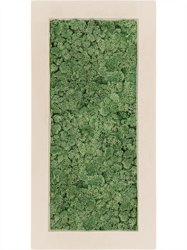 Polystone Natural 100% Reindeer Moss (Moss green) (↔100 cm ↕50 cm)