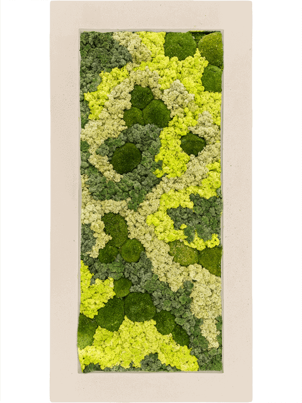 Polystone Natural 30% Ball moss 70% Reindeer moss (Mix) (↔100 cm ↕50 cm)