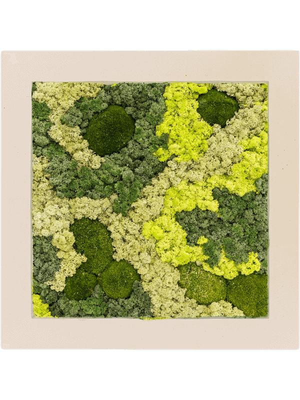 Polystone Natural 30% Ball moss 70% Reindeer moss (Mix) (↔70 cm ↕70 cm)