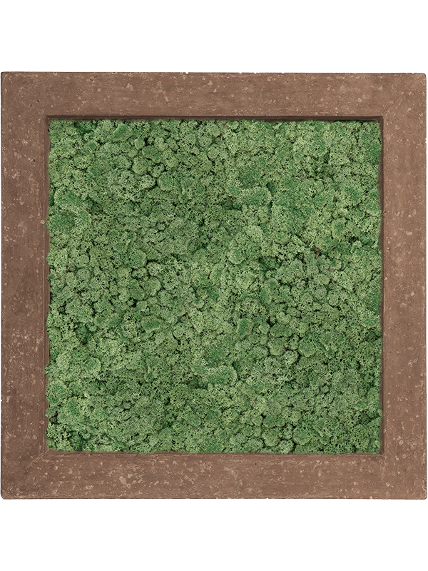 Polystone Rock 100% Reindeer Moss (Moss green) (↔70 cm ↕70 cm)