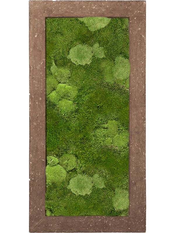 Polystone Rock 30% Ball- and 70% Flat moss (↔100 cm ↕50 cm)